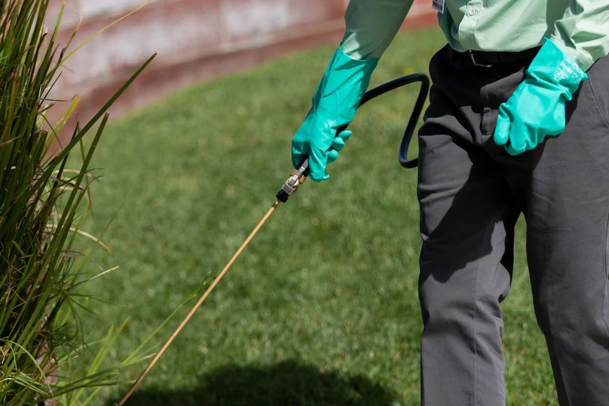 Professional Grade Solutions for Growth
